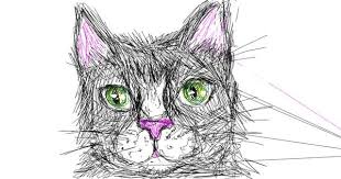 Cat Drawing By Kiwi Draw And Guess Gallery