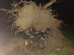Maybe you would like to learn more about one of these? Video Ef 2 Tornado Confirmed In Wayne County Tennessee Wztv