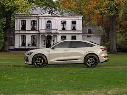 Image result for Siam Beige 2017 Audi