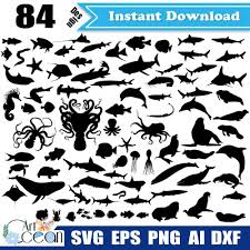Free Free 293 Cricut Shark Svg SVG PNG EPS DXF File