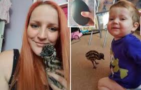 As David Beckham steps out with a suspiciously thicker thatch, these men  reveal their hair transplant hell