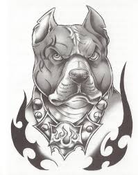 Pitbull Drawings Google Search Dovme Tasarimlari Kafataslari Cizimler