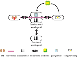 Digital manufacturing for accelerating organ-on-a-chip dissemination and  electrochemical biosensing integration - Lab on a Chip (RSC Publishing)  DOI:10.1039D2LC00499B
