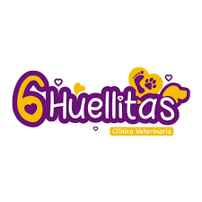 Veterinaria 6 Huellitas