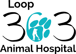 I really enjoyed what i did and i was good at it. Animal Hospital In Temple Tx Loop 363 Animal Hospital