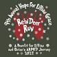 9th Annual Hope for Lillian Grace Reindeer Run event image