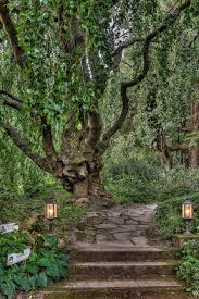 Fairy Walk Milton Park Hotel Bowral Nsw Australia Milton Park Park Hotel Oh The Places You Ll Go