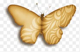 900 x 615 jpeg 40 кб. Butterfly Fly Away Png Images Pngegg