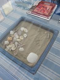 Diy Glass Display Table Filled With Sand And Seashells Seashell Display Beach Cottage Decor Sea Shells