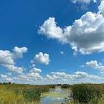 Adam Birding Conservancy Bird Walk