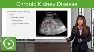 Acute (sudden) and chronic (over time). Chronic Kidney Disease Definition With Case Nephrology Lecturio Youtube