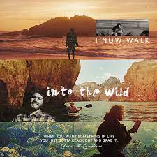 I Now Walk Into The Wild When You Want Something In Life You Just Reach Out And Grab It Wild Quotes Wild Movie Wild