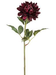 We did not find results for: 32 Dahlia Spray Pack Of 12 All Nations Flower