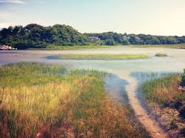 Estuary At Wood Neck Viewed As The Tide Is Going Out