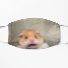 Scarica gratis funny icons tumblr download dans cet article will présenté collection nombreux image options par rapport à funny icons tumbl. Hamster Meme Face Masks Redbubble