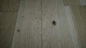 Basic wood floor installation basic wood floor installation. How Can This Burn Mark Be Removed Out Of A Wooden Parquet Floor That Has Water Based Varnish Woodworking