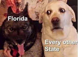 Under the prior law, the child tax credit allowed qualifying families to reduce their income tax bills by up to $2,000 for each child through age 16. These Are Florida S Best Meme Pages Don T Us South Florida Sun Sentinel South Florida Sun Sentinel