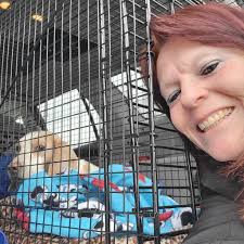 Fluffy Christmas tree decoration