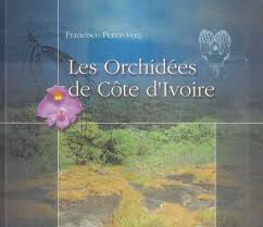 Image result for Eggelingia clavata