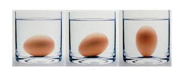 She recommends smelling every egg immediately after cracking it and before. What Can You Do With Eggs Fluffy Eggs Poached Eggs Easter Eggs
