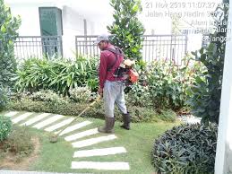 Mesin potong rumput gendong tasco tac didesain sangat ramping dan ringan. Servis Potong Rumput Dan Landscape Design Services Home Services Renovations On Carousell