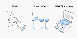 As per the new rules: How Coronavirus Throat Nose Tests Work Rt Pcr Method Explained