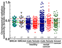 Image result for BRCA2
