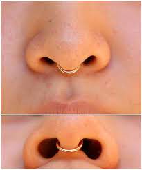 80 Best Cutest Nostril Ring Nose Septum Piercings You May Love Page 9 Of 84 Diaror Diary Septum Piercing Jewelry Nose Piercing Jewelry Septum Jewelry