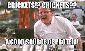 For general cricket related posts visit r/cricket. Crickets Crickets A Good Source Of Protein Eating Bugs Makes Sense Make A Meme