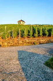 Ein haus mit raum für ideen. Helenenkloster Einer Der Kleinsten Weinberge Deutschlands