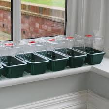 Last night i visited my talented friend holli from hollyhocks&hydrangreas & almost died from landscaping beauty. Window Sill Propagator Two Wests Elliott Ltd