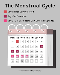 Pin On Calendar Ideas