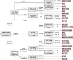 seeing beyond the limit a guide to choosing the right super resolution microscopy technique journal of biological chemistry