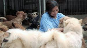 During a house call, your pet will be probably be more calm and relaxed than when they go to a hospital, allowing for a more thorough exam and a more thoughtful consultation. Indonesia Dog Doctor Rescues Canines From Pandemic Peril Manila Bulletin