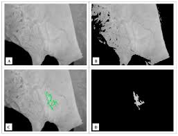 Sensors Free Full Text First Evaluation Of Infrared Thermography As A Tool For The Monitoring Of Udder Health Status In Farms Of Dairy Cows Html