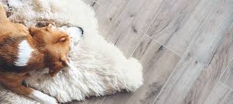Maybe you would like to learn more about one of these? Carpeting And Flooring Tallahassee Mciver Flooring And Supplies Llc