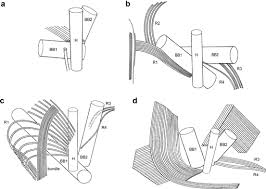 Ordonanta de urgenta a guvernului privind modificarea codului de procedură penală. Haptophyta Springerlink