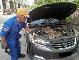 Check spelling or type a new query. Ular Sawa Dalam Info Kemalangan Bencana Malaysia Facebook