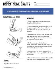 Our survey can be done in only 10 seconds! Twitter à¤ªà¤° William Potter Happy Friday Eve Today S Hpeathome Maker Project Is To Create A Working Model Of The Biceps Use The Instructions And Template Below To Put Together A Paper Model