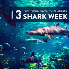Round 3 was about shark movies. Pin On Stem Education