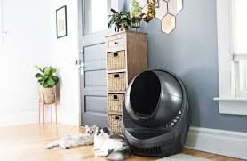 Maybe you would like to learn more about one of these? Litter Robot 3 Connect Review A Worthwhile But Pricey Cat Toilet Wired