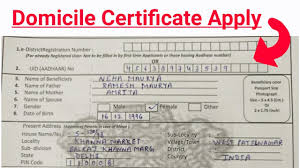 Of india is same for the entire country. Domicile Certificate Form Fill Up à¤® à¤² à¤¨ à¤µ à¤¸ à¤ª à¤°à¤® à¤£ à¤ªà¤¤ à¤° Youtube