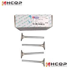Hcqp Part Yuchai Intake Exhaust Valve 330-1007011d D30-1003103A for Yuchai  Engine Yc6j125z-T21 Yc4d Yc4108