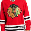 The chicago blackhawks name and logo controversy refers to the controversy surrounding the name and logo of the chicago blackhawks, a national hockey league (nhl) ice hockey team based in chicago, illinois. Https Encrypted Tbn0 Gstatic Com Images Q Tbn And9gcsdq8w3kb8vm3xh0vyqxiwkovo Sqpcvhkbs6cjipw Usqp Cau
