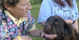 East Stroudsburg animal lover saves dog's life