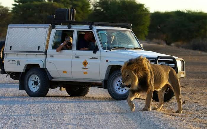 4x4 Rental | 4WD Car Hire South Africa | Vehicle Hire | Camper
