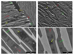 Image result for alloy edx micrograph