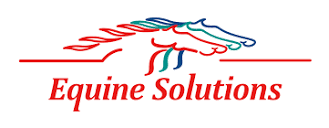 Horse, Greyhound & Animal Needs | Equine Solutions
