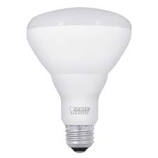 Maybe you would like to learn more about one of these? Feit Electric Led Br30 Flood 12 Pack Costco