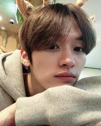 pin by nela ru on stray kids lee know stray kids minho lee know stray kids